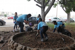 06-03-17 NASSCO Neighborhood Cleanup (182)