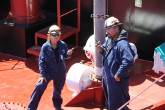 05-24-17 Palmetto 558 Sea Trials7