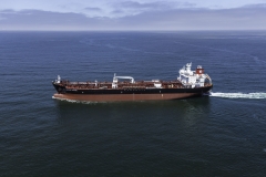 05-24-17 Palmetto 558 Sea Trials4